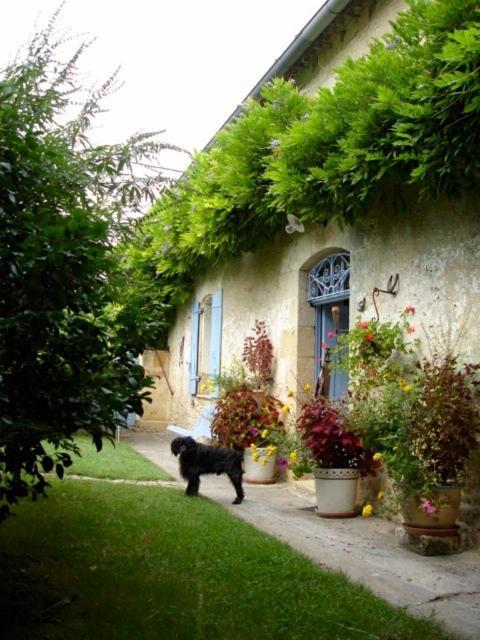 Bed and Breakfast La Petite Provence de Touron à Pujols  Extérieur photo